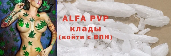 эйфоретик Богданович