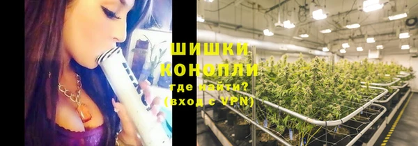 стафф Богородицк